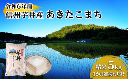 米 【3ヶ月連続お届け】令和7年産　信州芋井産あきたこまち精米5kg 定期便 お米 ごはん コメ 白米 精米 お取り寄せ 信州 長野