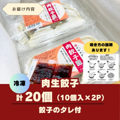 創業昭和五十三年 すすきの 冷凍【肉餃子】 25g×10個 2パック 計20個【餃子のタレ付き】【配送不可地域:離島・北海道・沖縄県・四国・九州】【1671362】