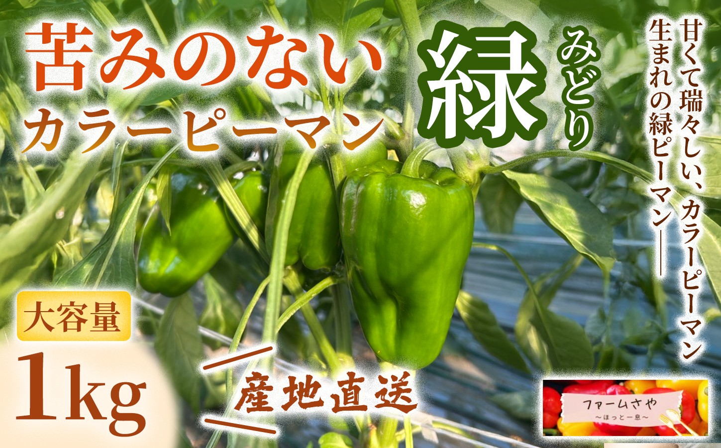 
                  【1kg】カラーピーマン（緑）
                