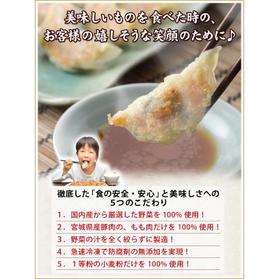 ふるさと納税 塩竈市 こだわり本格生餃子50個(10人前)　 |  | 02