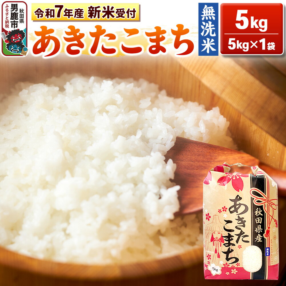 【ふるさと納税】《令和7年産 新米先行受付中》【無洗米】秋田県産 あきたこまち 5kg 秋田県 男鹿市 こまちライン