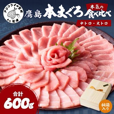ふるさと納税 松浦市 長崎県松浦市鷹島産本まぐろ桐箱入　本マグロ中トロ約200g　大トロ約400g　計約600g