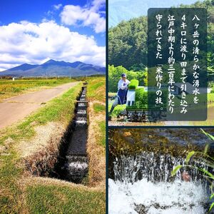 田端さくら米 5kg こしひかり