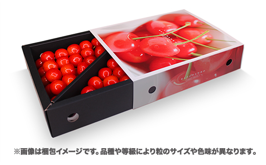 先行予約 さくらんぼ 佐藤錦 500g Lサイズ 秀品 山形県産 バラ詰 スリーブ箱 令和8年産 2026年産 sb-snslx500