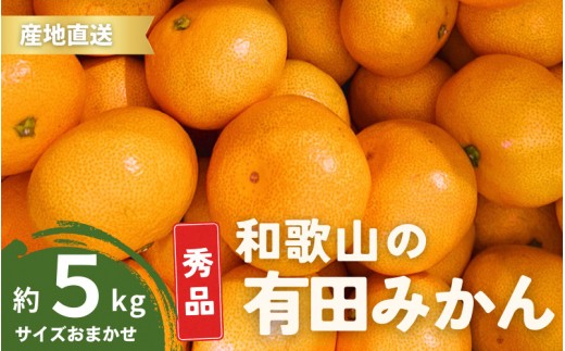 
                  ＼配送月が選べる！／ 秀品 有田みかん 和歌山県産 S～Lサイズ 大きさお任せ 5kg / みかん フルーツ 果物 くだもの 有田みかん 蜜柑 柑橘【ktn002-cho】
                