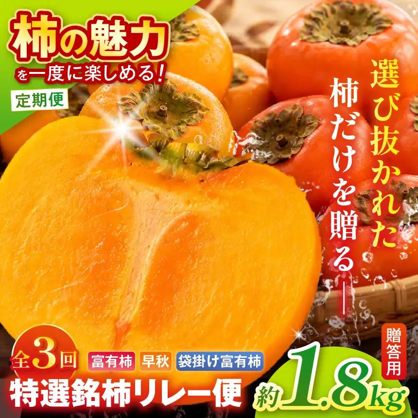 【定期便 3回】特選 銘柿リレー便 贈答用 早秋 富有柿 ( 各7個 / 1.8kg )| さのっち農園