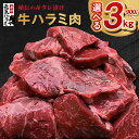 秘伝の赤タレ漬け牛ハラミ肉　大容量1.5kg