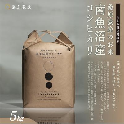ふるさと納税 南魚沼市 令和7年産　予約　日本のお米の最高峰 南魚沼産こしひかり5kg 山間地限定米 桑原農産のお米