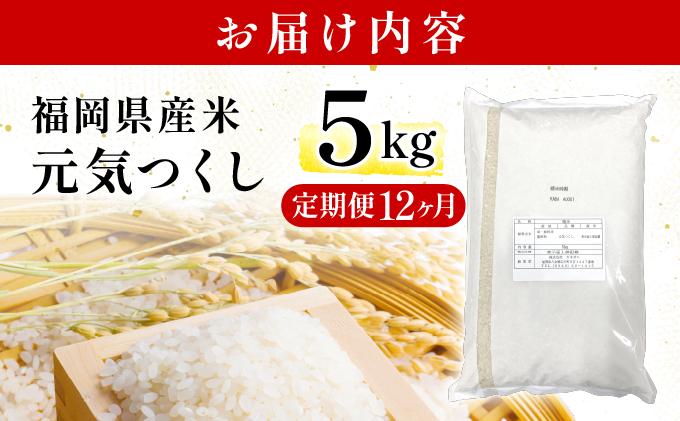【12ヶ月定期便】福岡県産米 元気つくし 5kg 精米 令和7年産 ※北海道・沖縄・離島は配送不可【精米 7年産 国産 福岡県産 お米 ブランド米 5kg げんきつくし】CY011sub12 【12ヶ