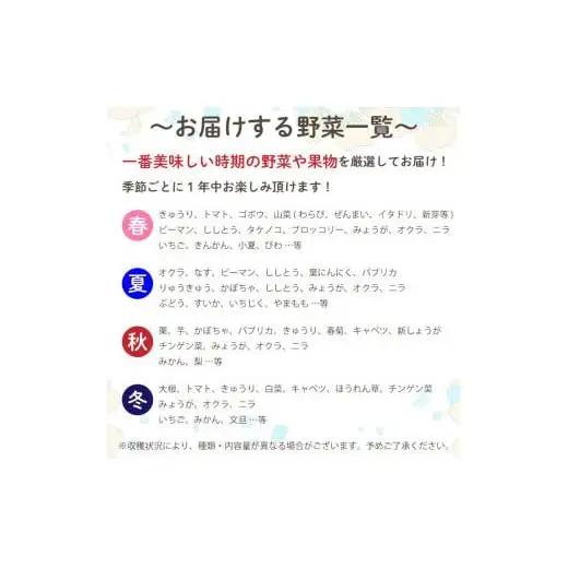 【 野菜定期便 】 旬の野菜セット 野菜定期便 6回 8品程度 セット