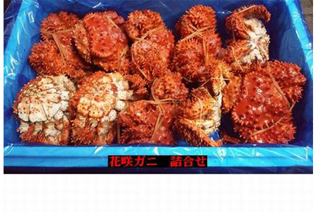 【北海道根室産】花咲ガニ10～12尾(計4kg) C-57006