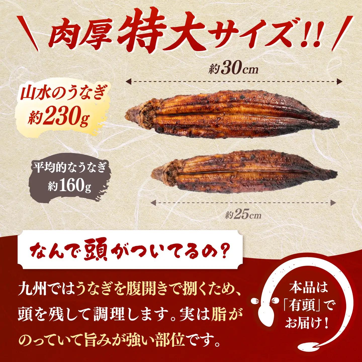 全12回定期便 鹿児島産うなぎ2尾 蒲焼・白焼セット 桂川町/山水商事 [ADAH020] うなぎ 蒲焼き 白焼き セット 九州