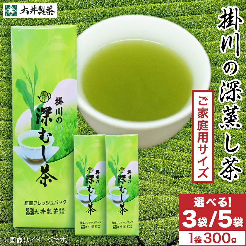 【ふるさと納税】ご家庭用　深蒸し掛川茶　掛川最高有段者の大井丈司監修!　300g(3袋/5袋)【配送不可地域：離島・沖縄県】【G1096814】