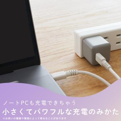 ふるさと納税 海老名市 AC充電器 PD30W 軽量&コンパクト ペールアイリス(MOT-ACPD30-PU) |  | 03
