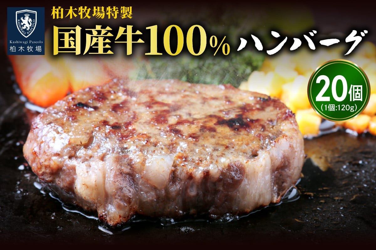 
[ジュワッと肉汁まで美味い！] 柏木牧場特製 国産牛100%ハンバーグ (120g×20個) [0068] 伊勢原市 牛肉 特製 ギフト 神奈川県 贈り物 人気 お土産 正月 肉の日 バーベキュー パーティ 冷凍便 惣菜 肉 焼くだけ
