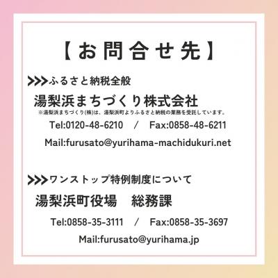 ふるさと納税 湯梨浜町 鳥取県産銘柄米食べ比べセット◇精米2kg×3種◇令和7年産(48M.) |  | 02