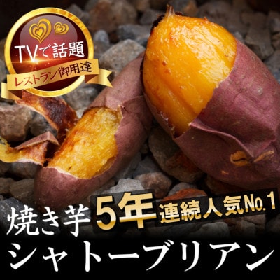 【100日間熟成した脅威の糖度】ギリギリまで糖化した幻のシャトーブリアン焼き芋2026年2月上旬発送【配送不可地域：離島】
