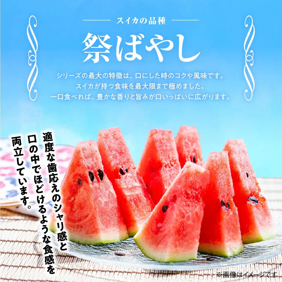 【先行予約・2027年6月上旬～発送】千葉県山武市産の大玉スイカ約12㎏（Ｌサイズ２個セット）SMDA001