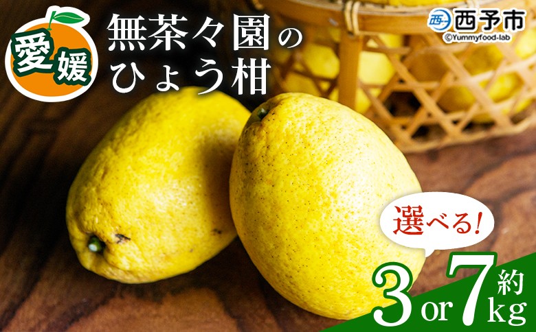 
                  無茶々園のひょう柑 約3kg／7kg　果物 みかん くだもの ミカン 蜜柑 柑橘類 フルーツ 選べる内容量 ひょうかん ヒョウカン 弓削瓢柑 旬 期間限定 数量限定 特産品 愛媛県 西予市【常温】
                