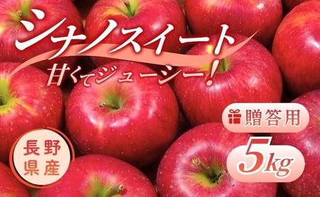 りんご シナノスイート 5kg 贈答用 信州 フルーツ 果物　林檎 リンゴ くだもの 旬の果物 旬のフルーツ 信州産 長野県産 長野 長野県 上田市