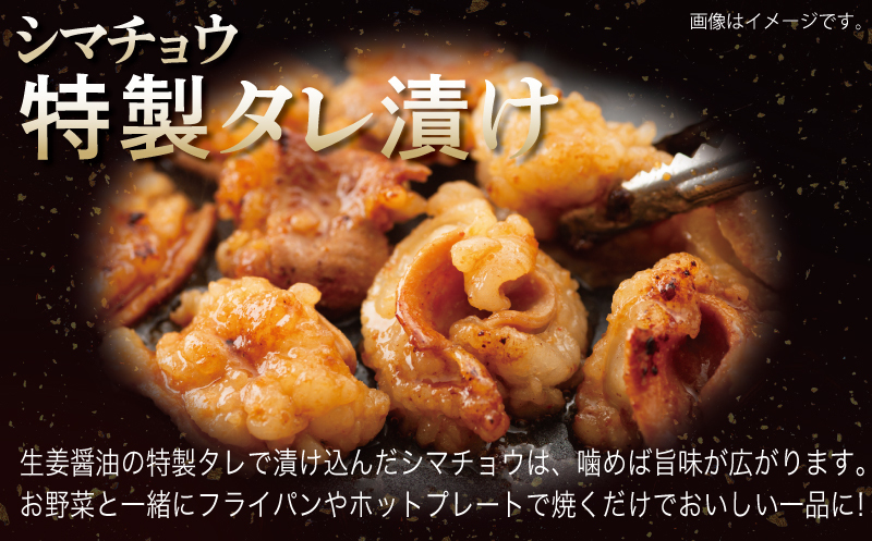 牛シマチョウ（タレ漬け+塩麹）＆塩麹漬け牛カルビの焼肉セット  合計1.5Kg（1袋250ｇ×各2袋） 【味付け 小分け 焼くだけ 簡単調理 BBQ 牛肉 ホルモン 250g×6袋】 010B1667