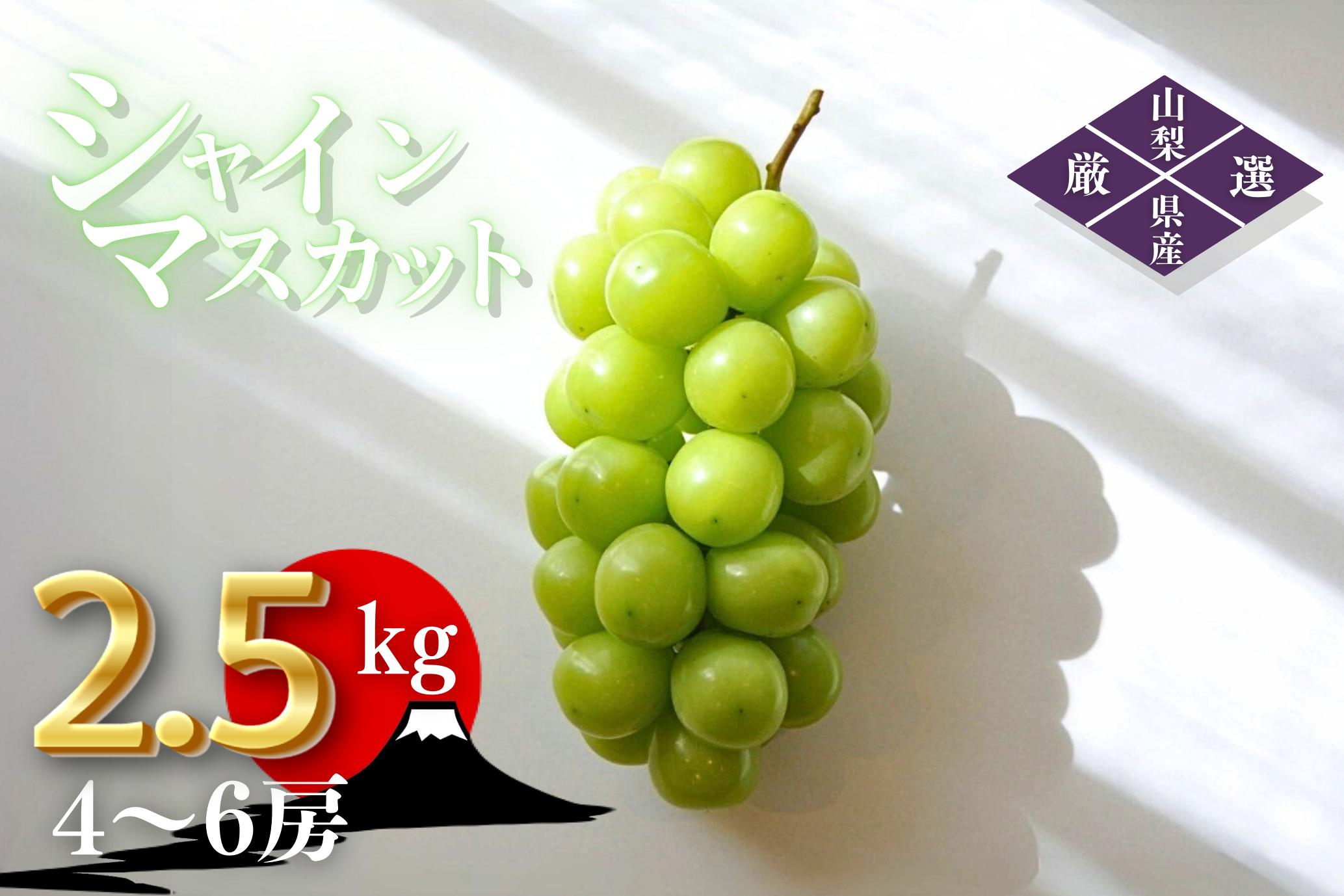 
                  【2026年発送★先行予約】笛吹市産　厳選シャインマスカット［2.5kg］（4～6房）フルーツ大国！山梨県笛吹市より産地直送 209-004  OUTTA REACH JAPAN							 			
                