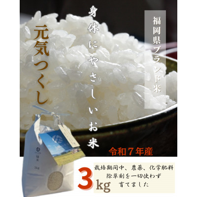令和7年産 身体にやさしいお米【栽培期間中、農薬・化学肥料を一切使わず育てたお米】3kg 農家直送いたします【精米 白米 お米 米 ご飯 ごはん ブランド米 元気つくし 福岡県 筑前町】