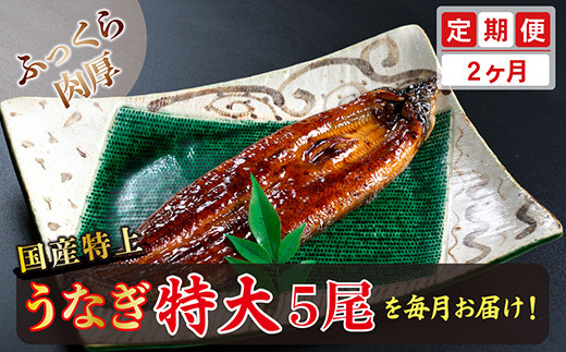 
【定期便２回】国産！特上うなぎのかば焼き 約250g × 5尾 × 2回お届け （毎月お届け）
