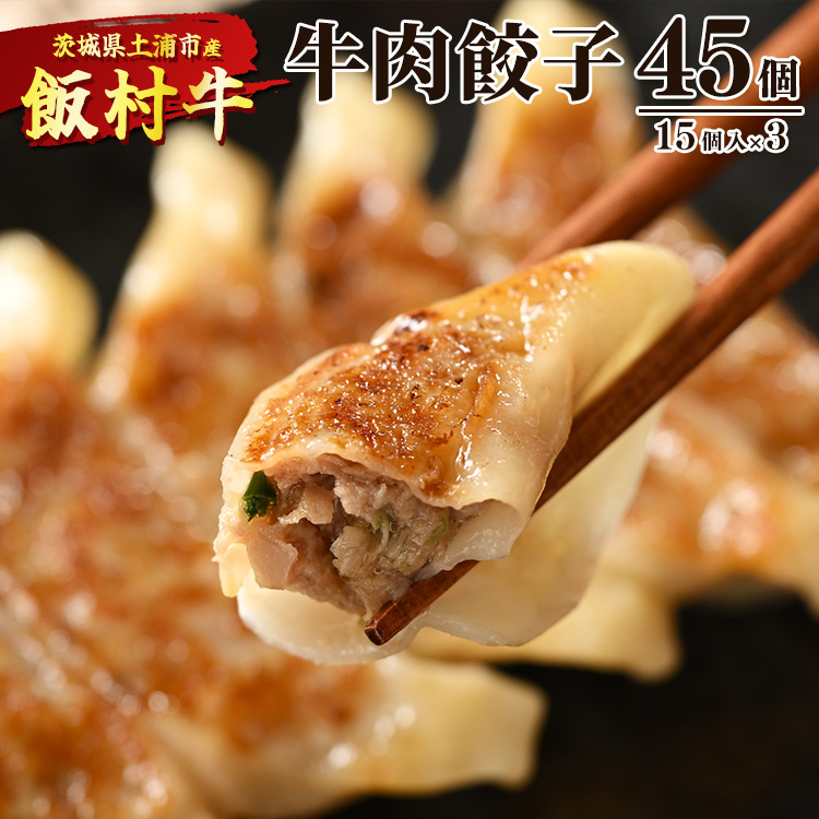 牛肉餃子　45個（15個入り×3） ｜ 餃子 ギョウザ ぎょうざ 冷凍 冷凍食品 蒸し焼き 簡単調理 お弁当 おかず おつまみ 惣菜 肉 牛肉 和牛 ビーフ ※着日指定不可 ※離島への配送不可