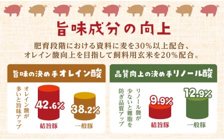 白川郷 結旨豚 ブロック肉 4種セット 計2kg 豚肉 ぶた肉 ブロック肉 国産肉 真空パック かたまり肉 肉 バーベキュー BBQ キャンプ ステーキ ロース 肩ロース バラ肉 もも肉 食べ比べ [