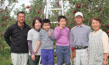 干しりんご ( 完熟 サンふじ ) 30g × 7袋 　沖縄県への配送不可 静谷りんご園 減農薬栽培 ドライフルーツ 信州の環境にやさしい農産物認証 長野県 飯綱町 [0394]