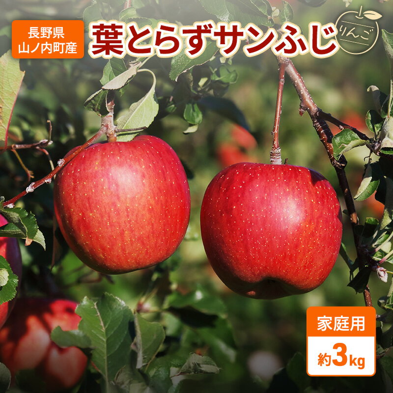 【ふるさと納税】りんご 先行予約 家庭用 葉とらず サンふじ 約 3kg フルーツ 果物 2026年 11月～ 発送　お届け：2026年11月中旬～12月中旬
