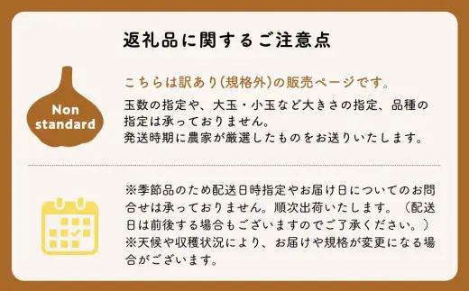にんにく 訳あり（規格外）約4.5kg 【hi-0042-032】