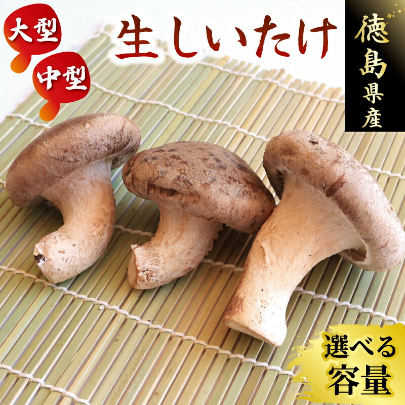 【ふるさと納税】 しいたけ 椎茸 2kg 程度 大型 6パック / 中型 10袋 肉厚 きのこ ステーキ 生しいたけ 生 シイタケ だし 焼きしいたけ 肉詰め 鍋 焼肉 バーベキュー 味噌汁 スープ 野菜 新鮮 旬 食べ応え うまみ セット 菌床しいたけ 大西農園 徳島県 三好市 みよし
