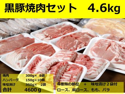 北海道 黒豚焼肉Bセット計4600g・ハンバーグ10個・味噌漬け350g付 ロース 肩ロース バラ モモ ハンバーグ 冷凍 小分け 黒豚 豚肉 お肉 肉味 噌漬け みそ漬け