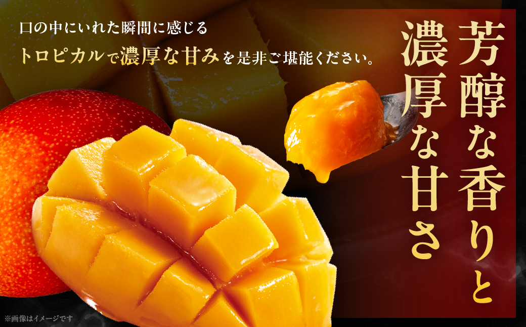 完熟マンゴー『太陽のタマゴ』２玉（約１kg）【JA綾町】_A0114-1001