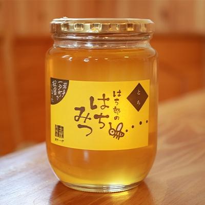 ふるさと納税 一戸町 一戸町産はちみつ　はち郎のはちみつ850g(とち)