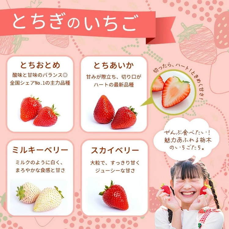 《数量限定》紅白セット（とちあいか・ミルキーベリー） 270g×2パック 540g以上 ｜いちご イチゴ 苺 先行予約 栃木県 果物 くだもの フルーツ デザート  ※2027年1月～発送