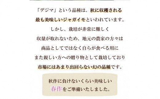 【先行受付】なんぐしデジマ（春作じゃがいも）10kg [なんぐしデジマプロジェクトチーム 長崎県 雲仙市 item1218] 野菜 じゃがいも 春じゃが 10キロ 期間限定