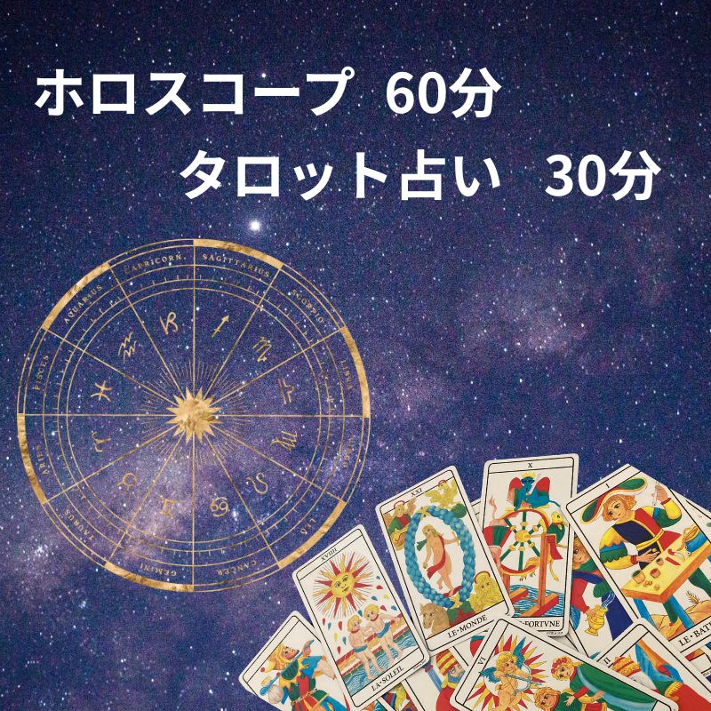【ふるさと納税】 ホロスコープ60分＋タロット占い30分 鑑定予約 90分 体験 太陽星座 月星座 アセンダント 金星 天体 運命 当たる 人気 占い師予約 おすすめ 対面 恋愛 相性 仕事 運勢 人間関係 結婚 個人鑑定 悩み ふるさと納税占い 千葉県銚子市 銚子 sumaile anjero