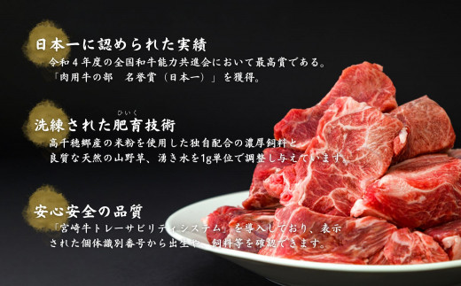 宮崎県産黒毛和牛A4等級以上 高千穂牛すね肉 800ｇ  C11