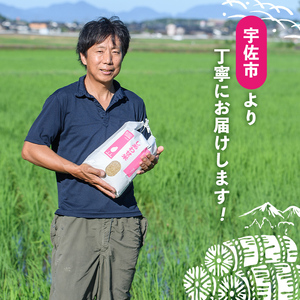 ＜先行予約受付中！11月以降発送予定＞＜令和7年産・新米＞しあわせ米 精米(計5kg) お米 白米 5キロ 常温 常温保存 【101000502】【宇佐本百姓】