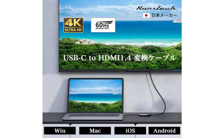 USBC HDMI1.4変換アダプタ HT-CH44GY AOP0035