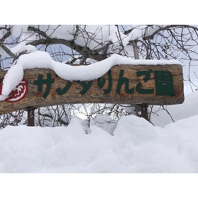 ひと足早く『ふじ』を楽しむ。早生ふじ　大玉贈答用　3キロ