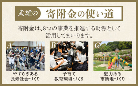 【応援寄附金】佐賀県武雄市 まちづくり応援寄附金 返礼品なし（30,000円分）[UZZ106]