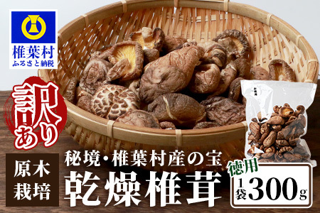 【訳あり】【徳用】秘境・椎葉村産 原木 乾しいたけ 300g【森林率96％の村の宝】