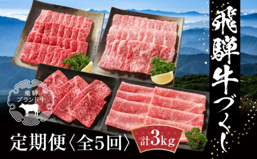 
            【定期便】飛騨牛 全５回（焼肉・すき焼き・ステーキ）計3kg  飛騨牛 定期便 |  飛騨牛 定期便 飛騨牛すき焼き  飛騨牛焼肉  飛騨牛ステーキ  飛騨牛 定期便 牛肉 定期便  牛肉 定期便 飛騨牛 牛肉 焼肉 牛肉 定期便 ステーキ カルビ 食べ比べ 牛肉 カルビ ステーキ 定期便【飛騨高山ミート MZ100】
          
