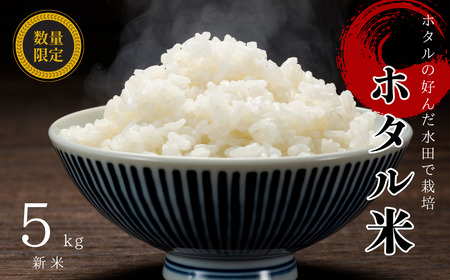 お米 5kg コシヒカリ 精米 されだにホタル米 | B111