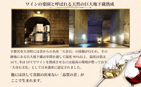 大谷の天然地下蔵で深みを増すワイン 令和元年 伊勢神宮奉納ワイン 3本セット【 赤ワイン 白ワイン ロゼ 飲み比べ ギフト 栃木県 宇都宮市 】※配送不可地域：離島