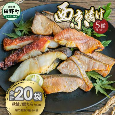 ふるさと納税 田野町 【四国一小さなまち】魚の西京漬け 5種食べ比べ(銀たら+鮭+おまかせ3種)セット　計20袋